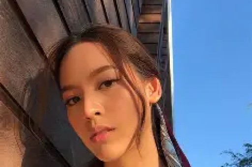 824页明星八卦pdf：揭秘娱乐圈不为人知的秘密